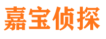 苍梧寻人公司